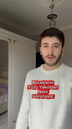 What does an insect's face look like up close?