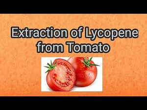 Extraction of Lycopene from Tomato || Rabia Views ||