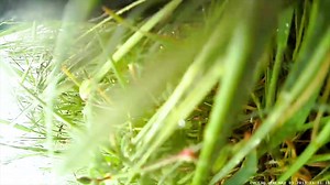 Cycliq Fly6 CE GEN2 is available now! The rear facing bike camera and 100 lumen light is engineered for peace of mind on the road and a run time that lasts as long as you do. Check it out: https://bit.ly/2Tn5h86 | Bikebug