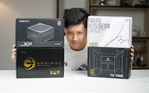 最低只要5毛一瓦？高性价比1000W ATX3.0电源大横评【翼王】