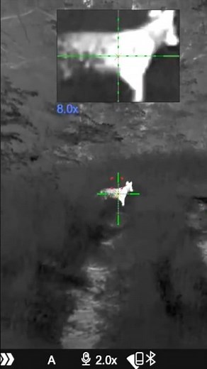 Pulsar Thermion 2 LRF XP50 PRO