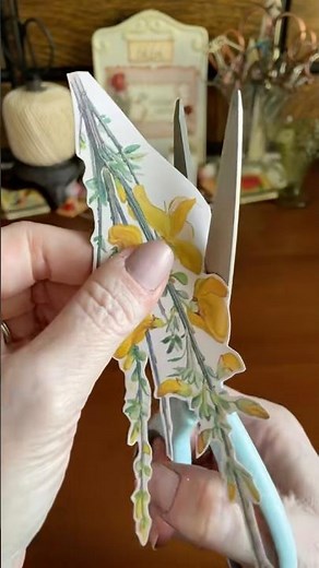 ✨best scissors for crafting✨