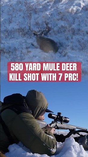 7 PRC vs Mule Deer 580 Yards PERFECT SHOT #hunting #killshot #deerhunting