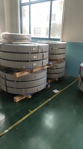 [Hot Item] High-Quality Spring Strip Steel for Precision Production Needs