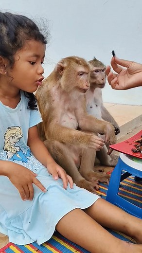 After cooking cricket 🦗 🦗🤩🤩 | Rsa Times