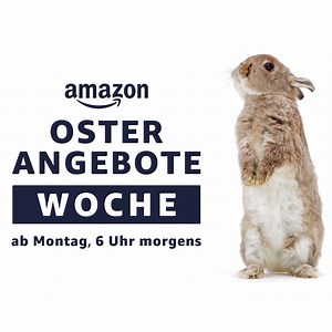 Oster Angebote Woche ab Montag,6 Uhr morgens www.amazon.de/easter | Amazon.de