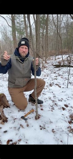 The Rubber Band Method for Cutting Trees