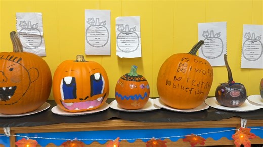 🎃📚 Storybook Magic at Rosemont Elementary! Students at Rosemont Elementary brought their favorite stories to life in the most creative way — by decorating pumpkins inspired by beloved book characters! From classic tales to modern favorites, the Storybook Pumpkin Patch was filled with imagination, color, and reading fun. What a wonderful way to celebrate the joy of books and creativity this fall! 🍁✨ #BCSEmpower #StorybookPumpkinPatch | Berkeley County Schools