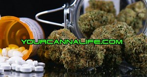 Medical Cannabis Dispensary Tour! Potential clients should only contact us if you meet at least three of the following qualifications; a team with proven experience, have or able to invest at least 5 percent of the amount you're seeking, a license to operate has been achieved, revenue has been achieved, land ownership or lease agreement, equipment ownership, letters of intent / purchase agreements, a business plan and / or a pitch deck. Website: yourcannalife.com Email: info@yourcannalife.com Fa