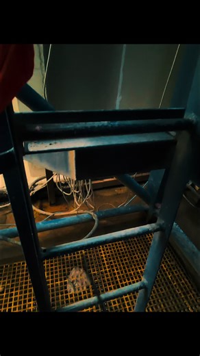 Daily Life of a Tower Crane Operator in London