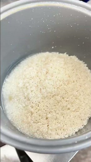 오늘도 밥부터 예쁘게, 통통하게 🍚