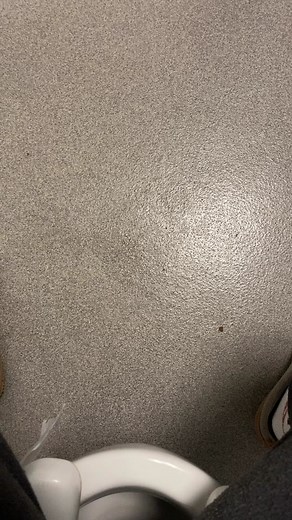 Can’t even poop 🤦🏽‍♂️ #fyp #viral | scoobidi bam bam yes yes