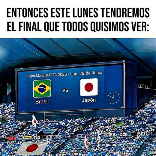 Brasil vs. Japón