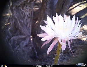 1.8K views · 159 reactions | Today is part two of our updates on the...