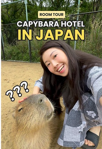 Capybara Hotel Room Tour at Izu Resort Villa