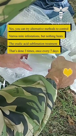 Yes, you can try alternative methods to control Varroa mite infestations, but nothing beats..
