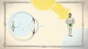 Quarks: So sehen wir... am Tag und in der Nacht