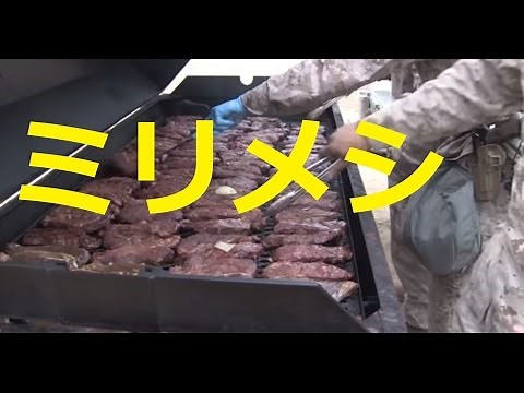 アメリカ軍 ミリメシ Meal