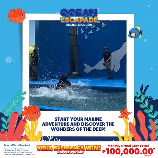 🪸 Set Sail on the Ultimate Ocean Escapade at Manila Ocean Park! 🌊✨ Ready to make waves? 🌟 For only ₱730, step into a world of wonder where breathtaking marine life, exciting exhibits, and unforgettable adventures await. 🐠💙 🎟️ What’s in store? ✔️ Meet fascinating sea creatures up close ✔️ Explore interactive marine exhibits ✔️ Experience attractions made for thrill-seekers and curious minds of all ages 💸 BONUS SPLASH ALERT! Every Ocean Escapade ticket also gives you 1 FREE RAFFLE ENTRY to 