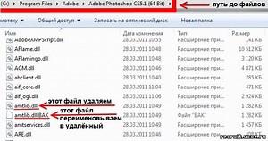 Amtlib Dll X64 Patched