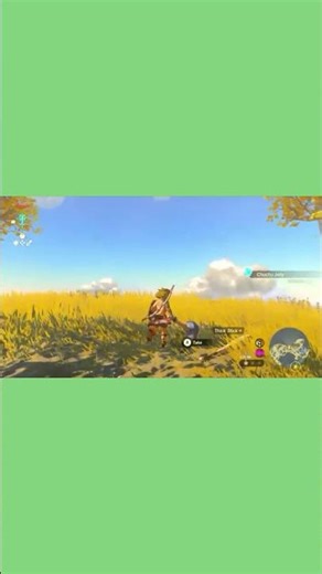 TOTK fighting battle #zelda #totk #tearsofthekingdom