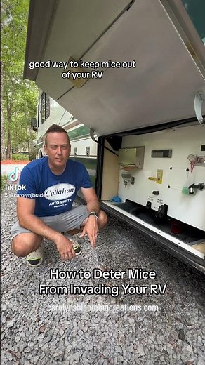 How To Keep Mice Out Of Your RV | Camping Hacks
