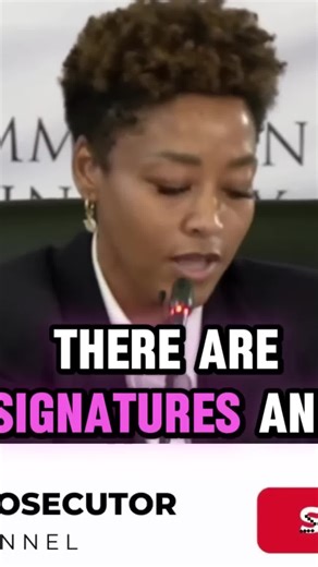 The Shocking Findings from Madlanga's Computer Files