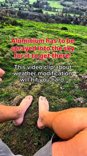 🐝 THE BEE CRISIS: The Geoengineering Alert 🌍☁️ THE CONCERN: We aren't just losing bees; we are losing a pillar of our ecosystem. Emerging theories suggest that atmospheric spraying is loading our environment with heavy metals. 📊 THE CONTAMINATION DATA 📉 70x LEVELS: Reports claim bees are testing with 70 times more aluminum in their systems than the threshold linked to cognitive decline in humans. 🧠🚫 COAL FLY ASH: Skeptics point to chemical signatures in rain tests that match toxic coal fly