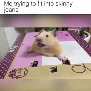 Me trying to fit into skinny jeans Credit: https://twitter.com/yumessyi917/ | LOLKidz