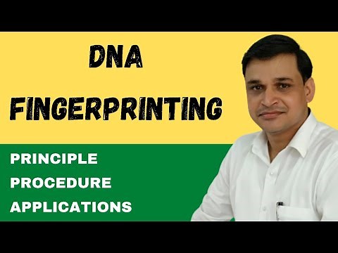 What is DNA fingerprinting (Animation) | Procedure and applications of DNA fingerprinting