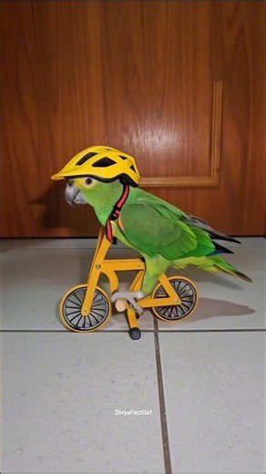 World's smartest parrot 😇|#facts #shortsfeed #parrot #funny #cute #shorts
