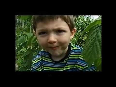 The Story Makers: Series 2: Sorting