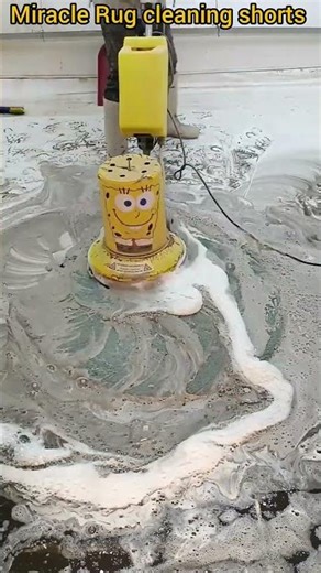 Crazy Foam Explosion on a Hairy Floral Rug Deep Clean ASMR Ultimate Carpet