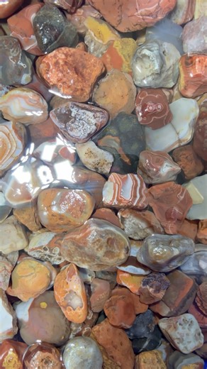 Agates Got Me Feeling Like…