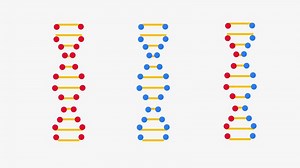 Download A unique triple DNA strand pattern displayed in a minimalistic style, representing an abstract concept of molecular structures in genetics for free