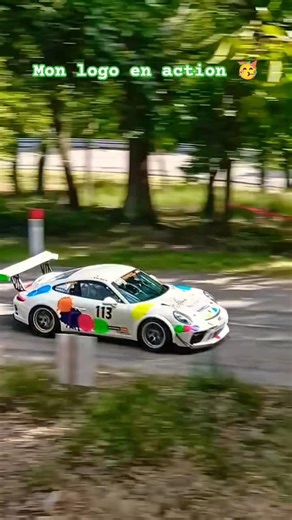 Mon logo en action 🥳 Porsche course de côte de Turckheim 2025 🔥🔥🔥 #porscheholding