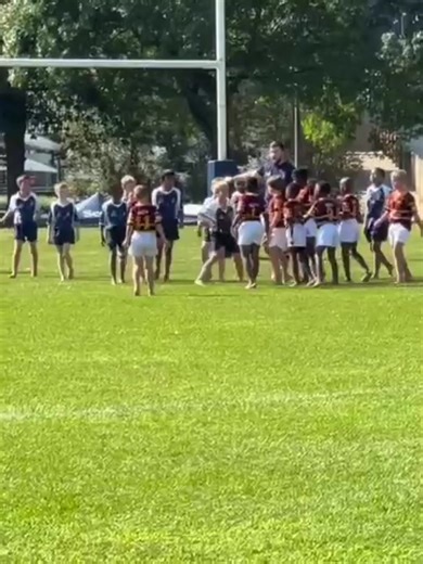 Best Rugby Hits Compilation 2023-2024 | Big Tackles & Bighits