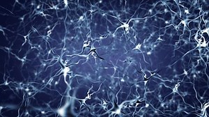 Neuron Network Activity Background Animation Biological Stock Footage Video (100% Royalty-free) 3043822 | Shutterstock