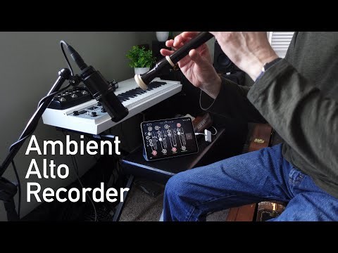 Ambient Recorder | Aulos 509 Alto Recorder: AUM, SpaceFields, NoiseSpace, Other Desert Cities