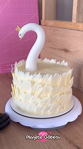 5K views · 67 reactions | Quelle beauté 廉 Découvrez notre tuto Gâteau d'anniversaire cygne avec toutes les étapes pas à pas ! https://blog.planete-gateau.com/gateau-cygne-pas-a-pas/ Sauvegarde pour plus tard ! #cakes #gateau #planetegateau #cygne #swann | Planète Gâteau | Facebook