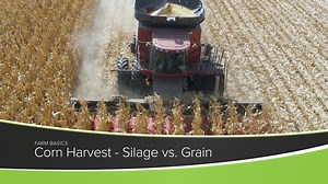 14 reactions | What is the difference between silage and grain harvest? Find out in this week's Farm Basics. Visit agphd.com for full Ag PhD Episodes and more! | Ag PhD | Facebook