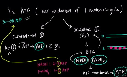 Oops. Something went wrong. Please try again.