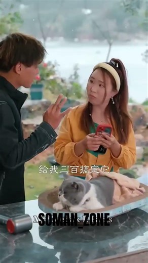 Cat mini house Chinese comedy video....#shortvideo #comedy #viral