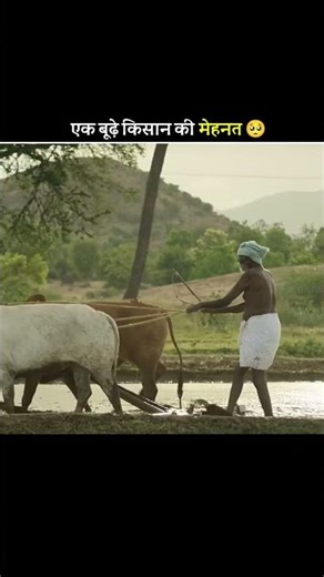 एक बूढ़े 🥀 किसान की मेहनत 🥺 #shorts