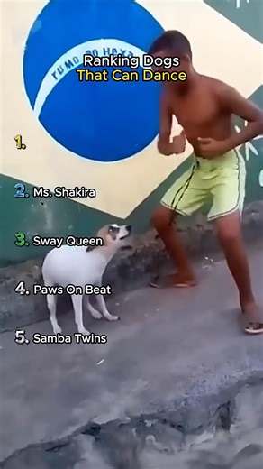 Ranking the Smoothest Dog Moves Part 2 Ranking dogs with the smoothest moves 🐕🔥 Some of these dogs really got rhythm Who wins this ranking? | PawTime