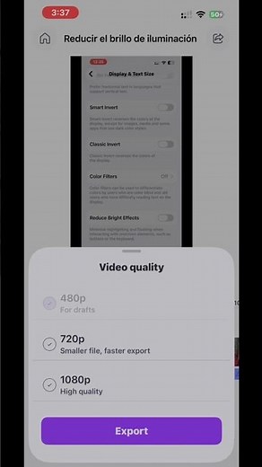 How to export a video or project from your CLIPCHAMP app?
