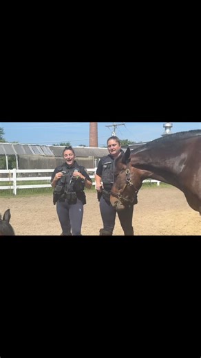 9.2K views · 246 reactions | Meet our Mounted Unit!!! | Manchester NH Police | Facebook