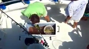 5.3K views · 188 reactions | Found a tree floating root ball up and...