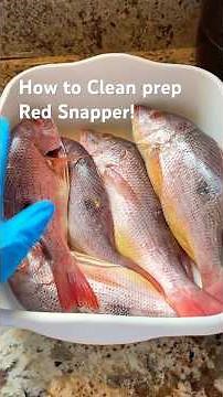 How to Clean Red Snapper at Home!