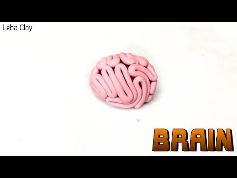 How to make a BRAIN - Easy Polymer Clay | Leha Clay